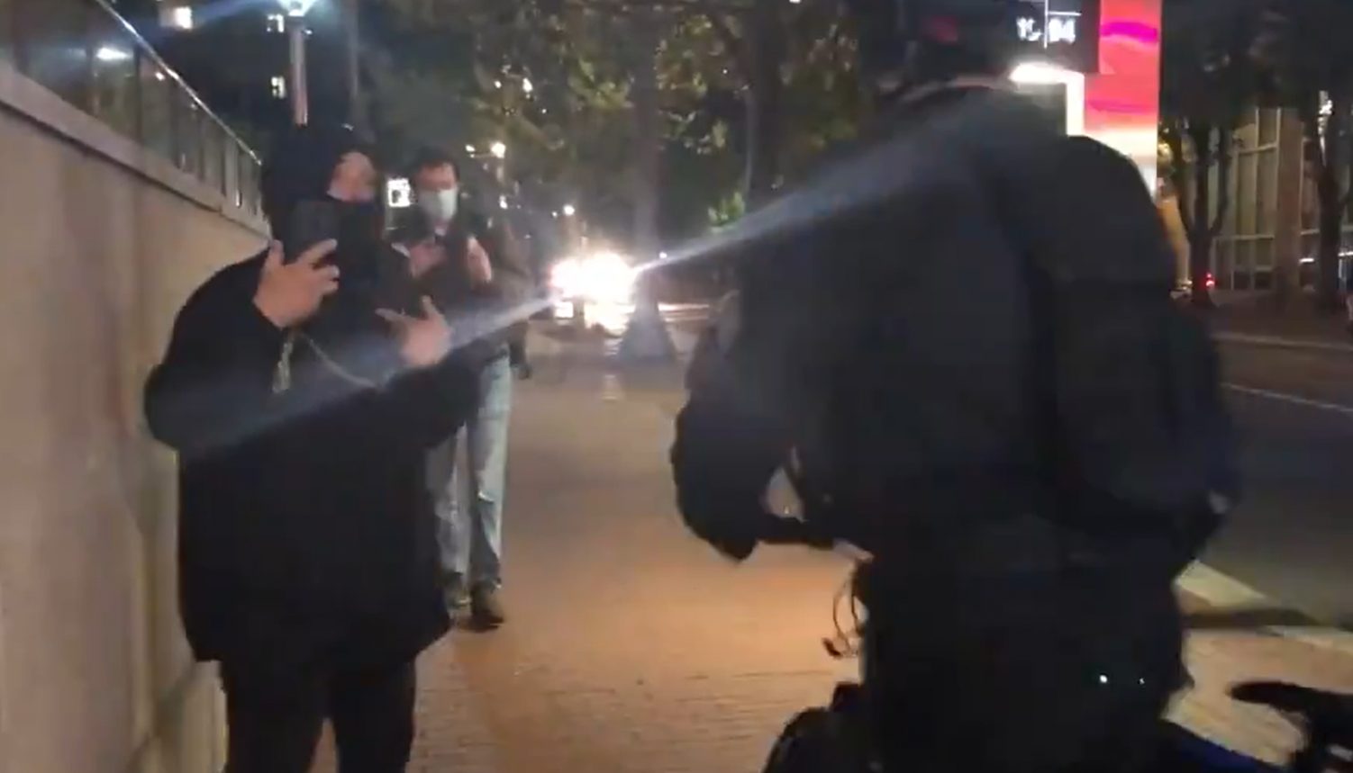 Rioter Caught Punching And Attacking Portland Police Officer On Camera 